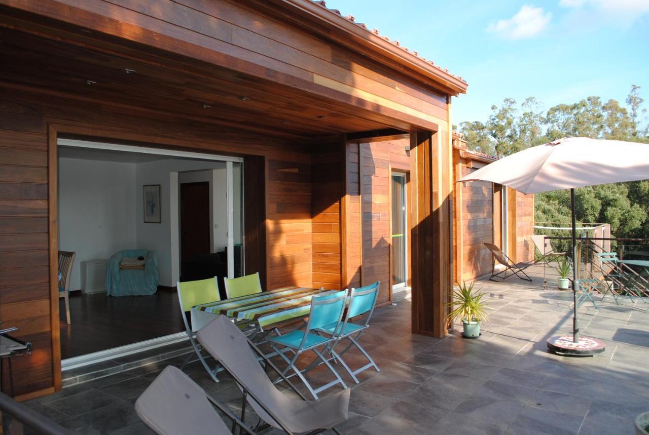 Villa Angelini Valle-di-Campoloro Exterior photo